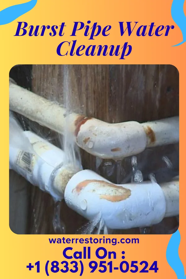 Burst Pipe Water Cleanup in Midland Park, NJ